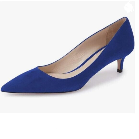 YDN Royal Blue Kitten Heeled Pumps Pointed Toe Dress Shoes for Office Lady - Picture 1 of 8